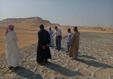 محافظ المنيا