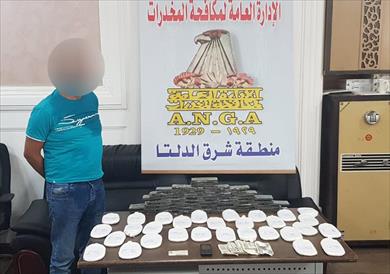 سقوط تاجر مخدرات بحوزته 90 طربة حشيش في الدقهلية