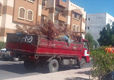رفع 75 طن مخلفات وقمامة بمدينة دهب خلال أسبوع