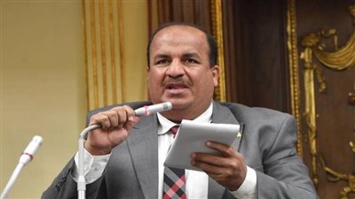 محمد عبد الحميد وكيل اللجنة الاقتصادية بمجلس النواب