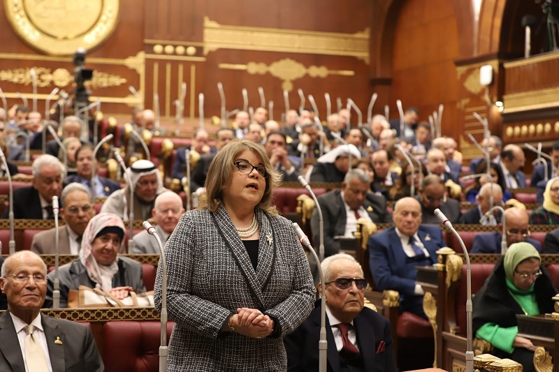 النائبة فيبي فوزي وكيل مجلس الشيوخ