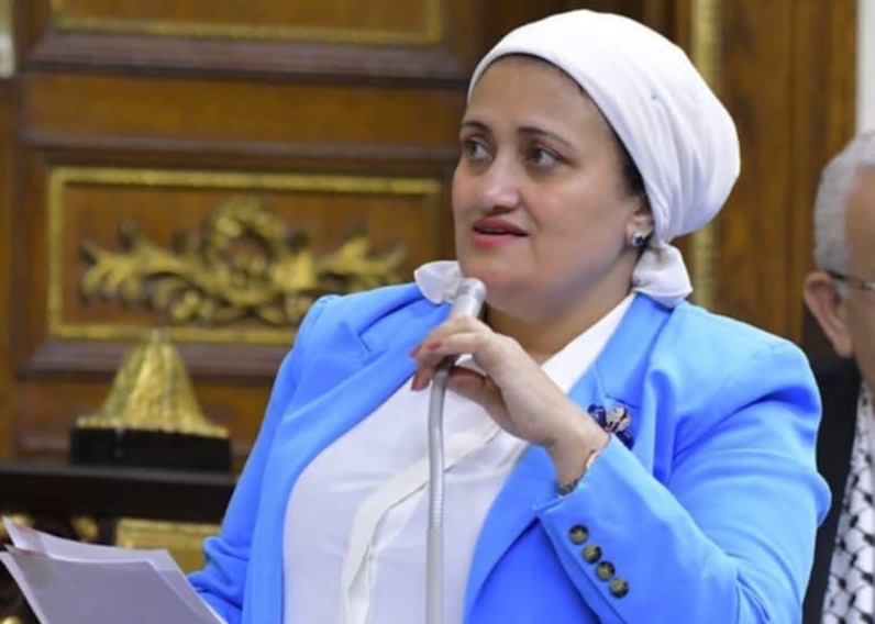 النائبة سناء السعيد