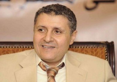 المحامي الحقوقي، نجاد البرعي