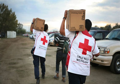 الاتحاد الدولي لجمعيات الصليب الأحمر والهلال الأحمر - ارشيفيه