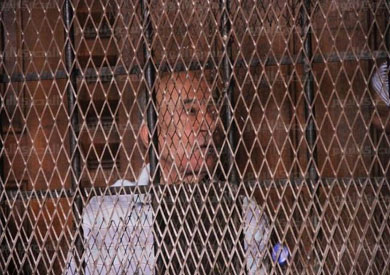 يوسف والي وزير الزراعة الأسبق