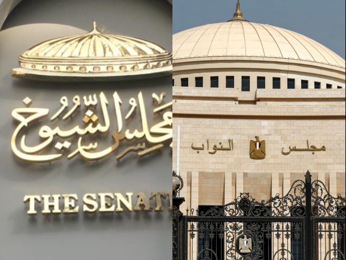 مجلس النواب ومجلس الشيوخ
