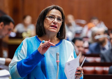 نادية هنري عضو اللجنة الاقتصادية في مجلس النواب