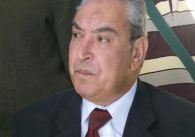 محافظ المنيا