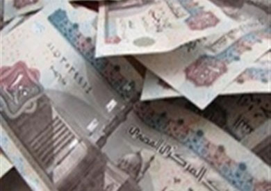 جمارك نويبع تحبط محاولة تهريب كمية كبيرة من النقد المصري