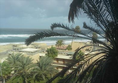 سواحل العريش