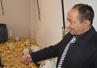 إنتاج جامعة العريش