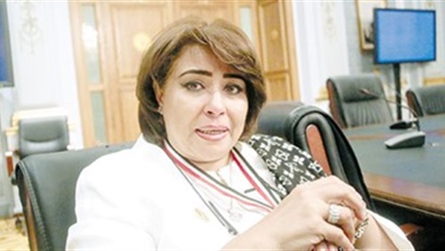 غادة عجمي  عضو مجلس النواب