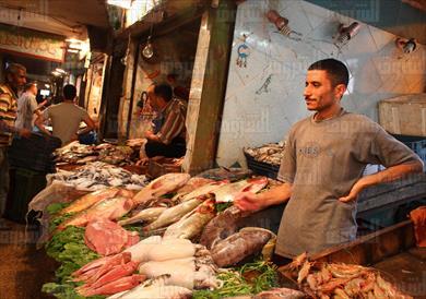 سوق السمك تصوير جيهان نصر
