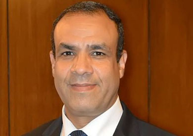السفير بدر عبد العاطى