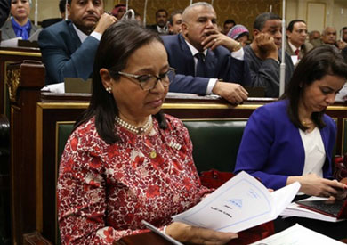 أنيسة حسونة، عضو مجلس النواب