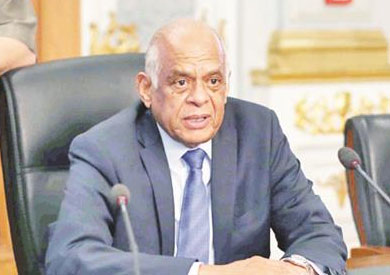 على عبد العال القانون الدستورى