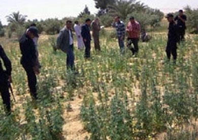 أرشيفية
