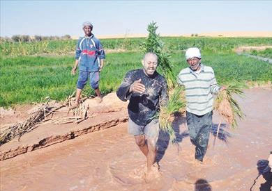 بركة الصرف الصحى تغرق زراعات عين حميد الخارجة