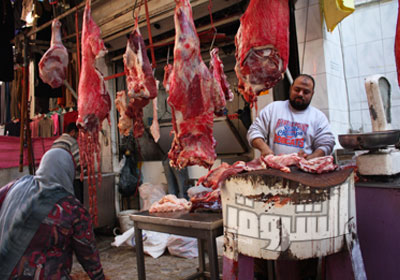 تهريب الخراف يرفع اسعار اللحم الضان - تصوير : فيليب شباليك