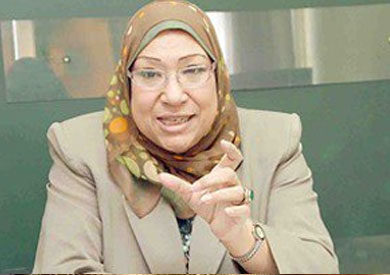 رئيس جهاز المركزى للتنظيم والإدارة فوزية حنفى