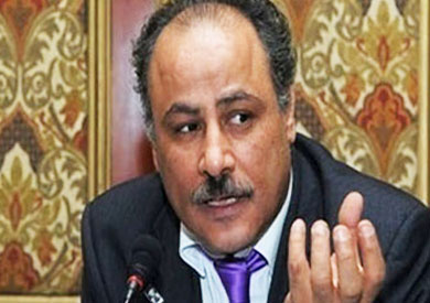 د ناصر أمين عضو المجلس القومي لحقوق الإنسان،
