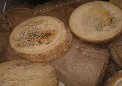 ضبط 3.5 طن «جبنة رومي» منتهية الصلاحية بالمنيا