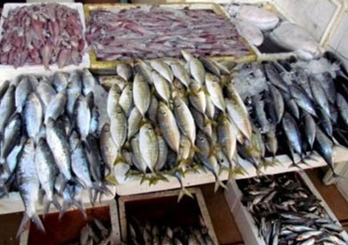 ضبط 90 طن أسماك فاسدة