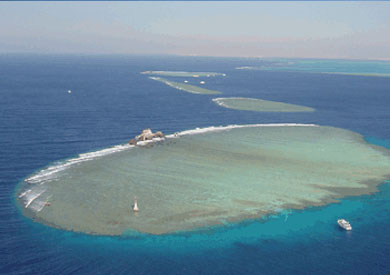 تيران وصنافير