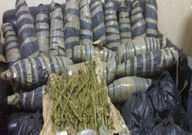 مخدر البانجو - ارشيفيه