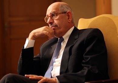 البرادعي - ارشيفية