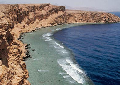 محميات - ارشيفية