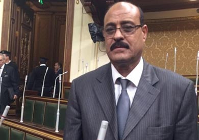 النائب صلاح عيسى