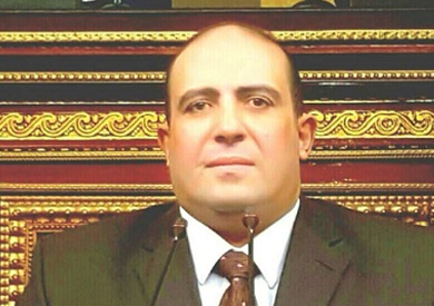 الدكتور محمد سليم عضو مجلس النواب
