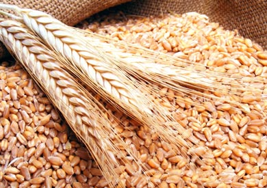 وزير التموين: انخفاض أسعار القمح عالميًا .. ولا نخطط لتطبيق سياسة التحوط