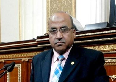 النائب عبد الرازق زنط أمين سر لجنة القوى العاملة بمجلس النواب