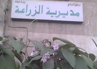 مدرية الزراعة بالمنيا