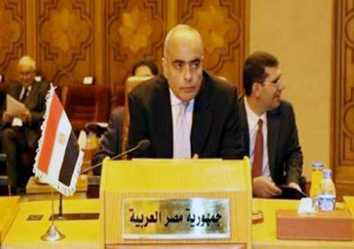المندوب الدائم لمصر لدى الأمم المتحدة السفير عمرو أبو العطا،