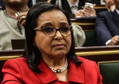 النائبة أنيسة عصام حسونة