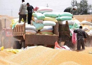 ازمة توريد القمح - ارشيفية