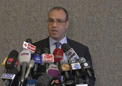 المتحدث الرسمي باسم وزارة الخارجية السفير الدكتور بدر عبد العاطي