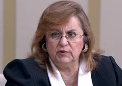 النائبة بسنت فهمي، عضو مجلس النواب، الحكومة