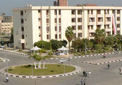 جامعة دمياط