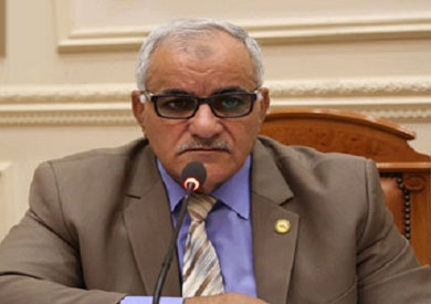 النائب ممدوح الحسينى