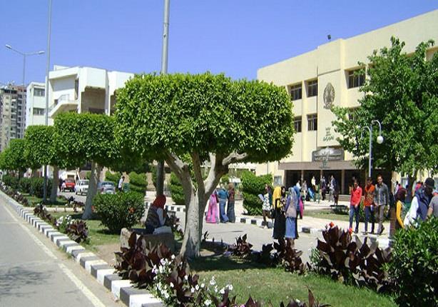 جامعة المنصورة