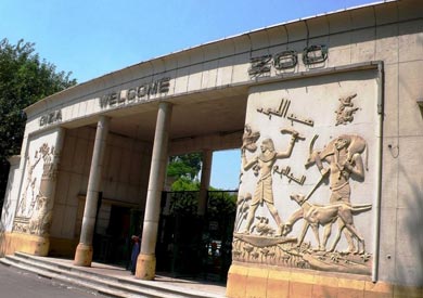حديقة حيوانات الجيزة - ارشيفية