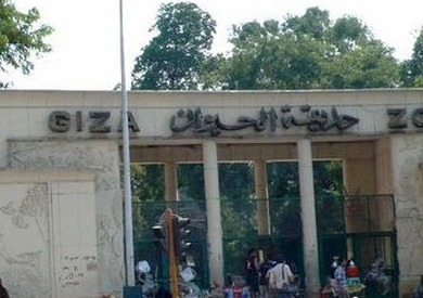 حديقة الحيوان - ارشيفية