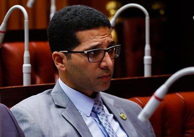 عضو لجنة الصحة فى مجلس النواب هيثم الحريرى