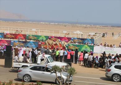 مهرجان شرم الشيخ الأول للهجن