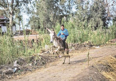 القفز بالحمار - تصوير بلال وجدي