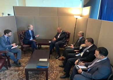 وزير الخارجية المصري سامح شكري ومبعوث الأمم المتحدة الخاص إلى سوريا جير بيدرسون